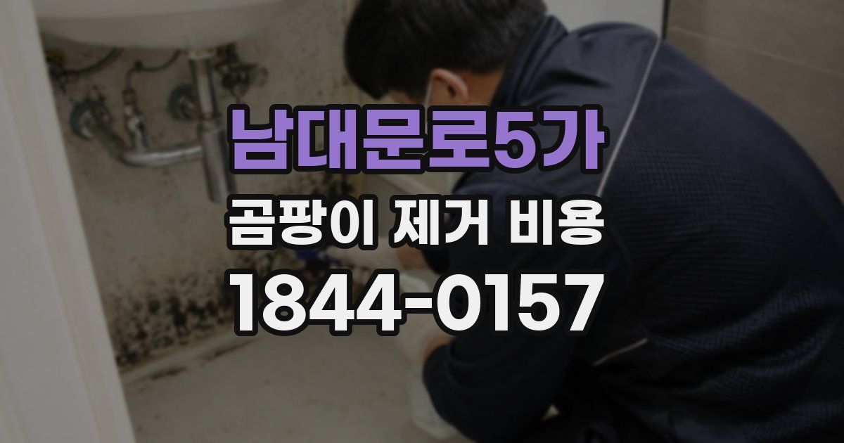 남대문로5가 곰팡이 제거 비용