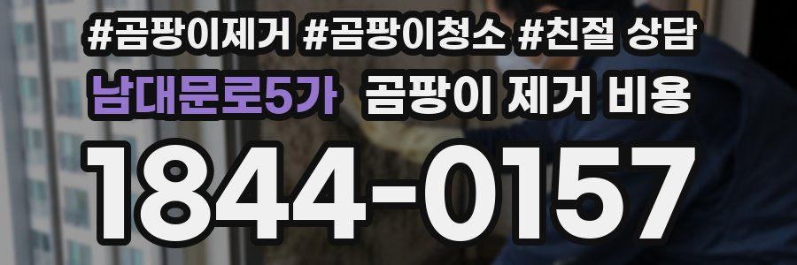 남대문로5가 곰팡이 제거 비용