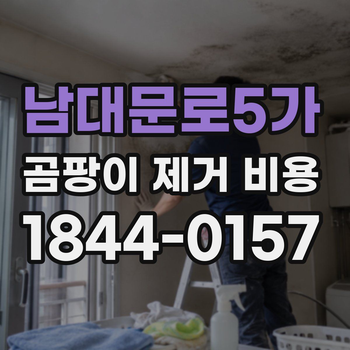 남대문로5가 곰팡이 제거 비용