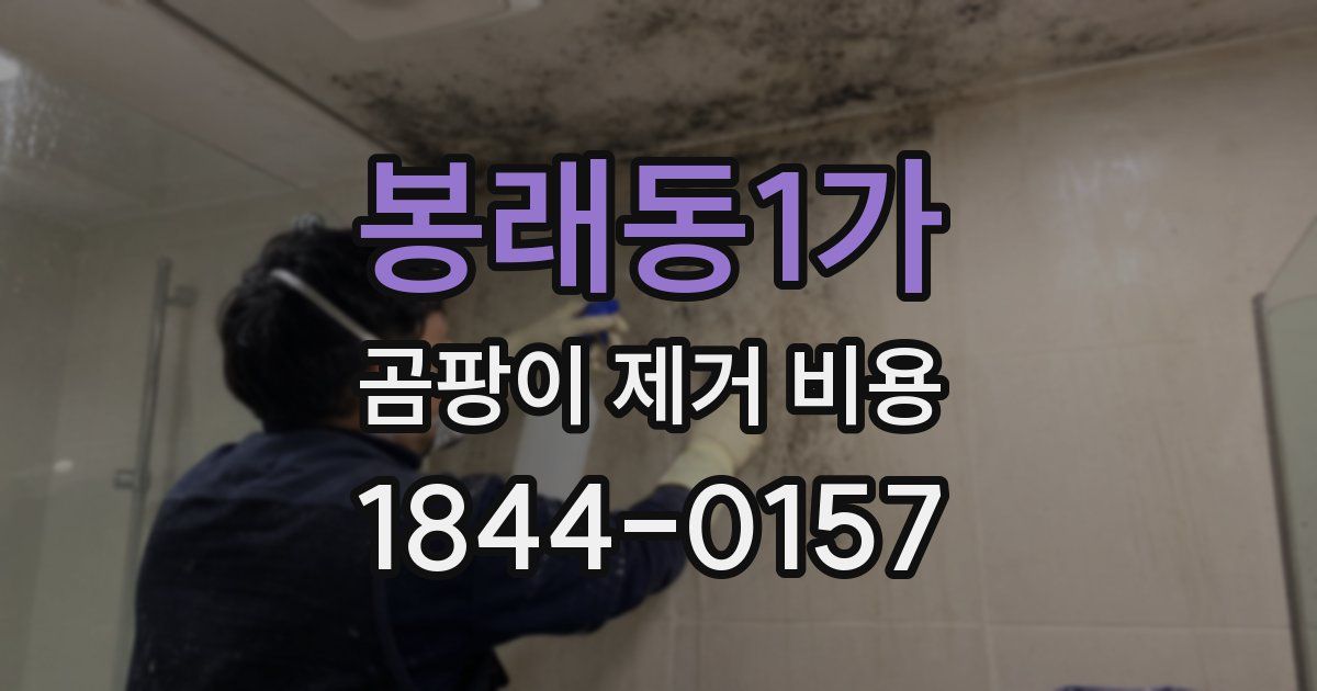 봉래동1가 곰팡이 제거 비용