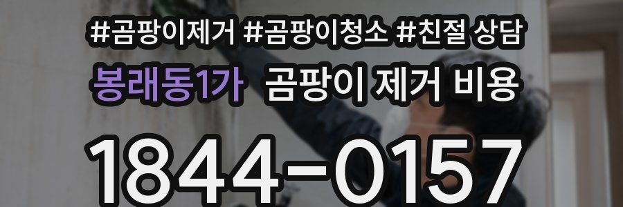 봉래동1가 곰팡이 제거 비용