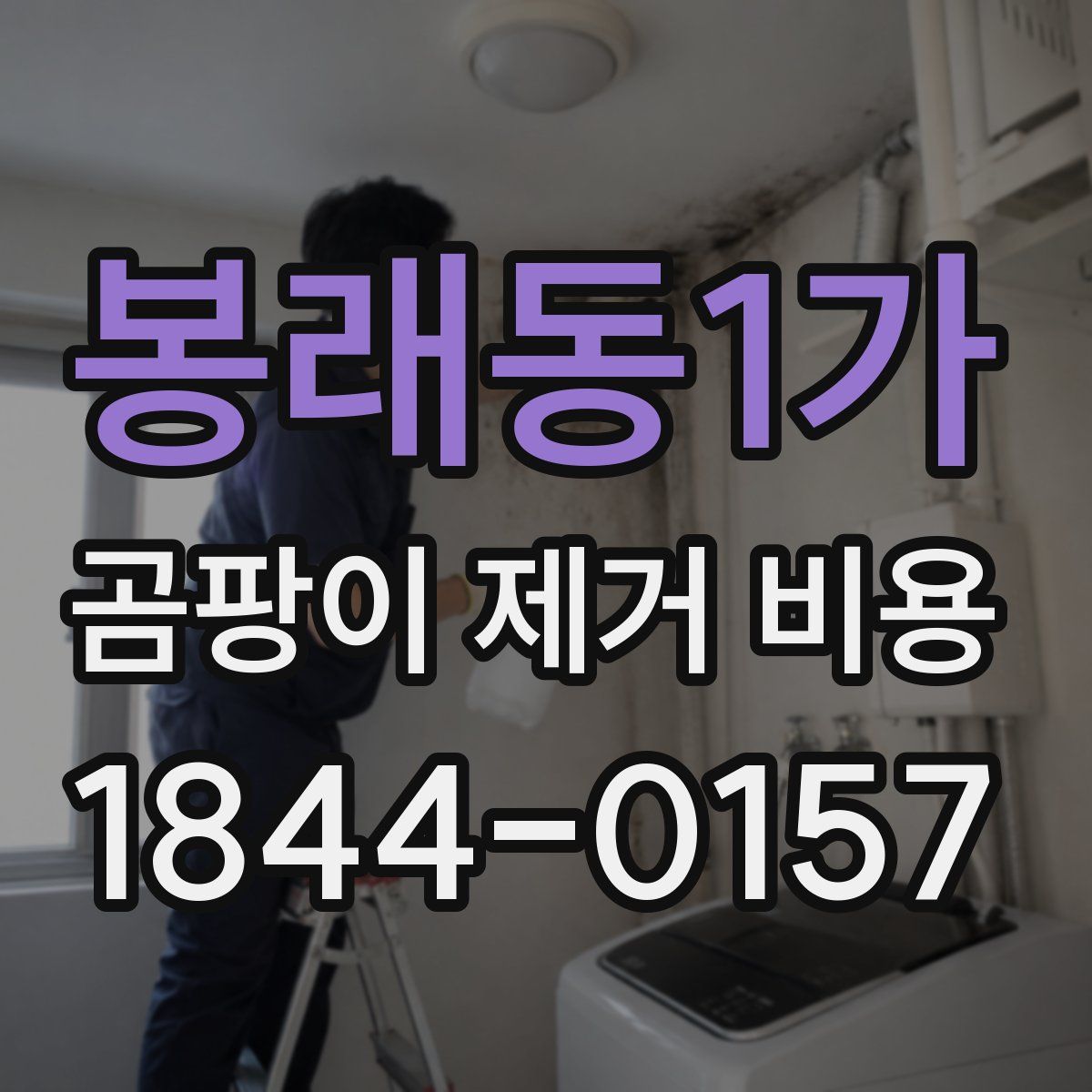 봉래동1가 곰팡이 제거 비용