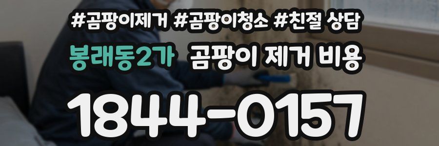 봉래동2가 곰팡이 제거 비용