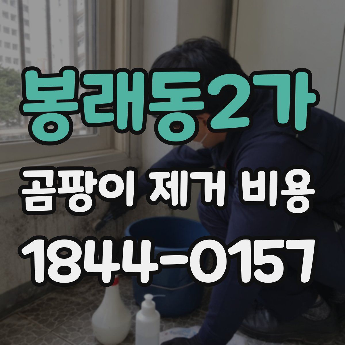 봉래동2가 곰팡이 제거 비용