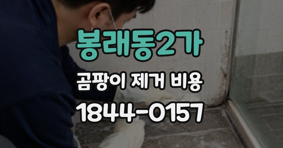 봉래동2가 곰팡이 제거 비용