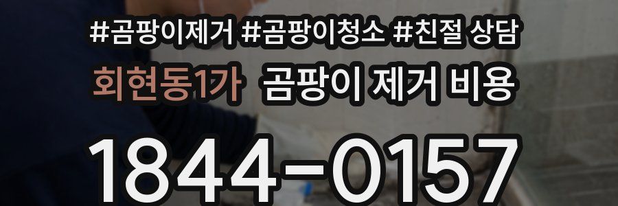 회현동1가 곰팡이 제거 비용