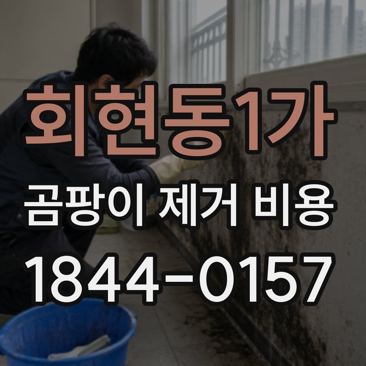 회현동1가 곰팡이 제거 비용