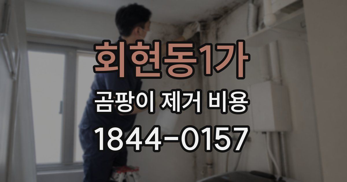 회현동1가 곰팡이 제거 비용