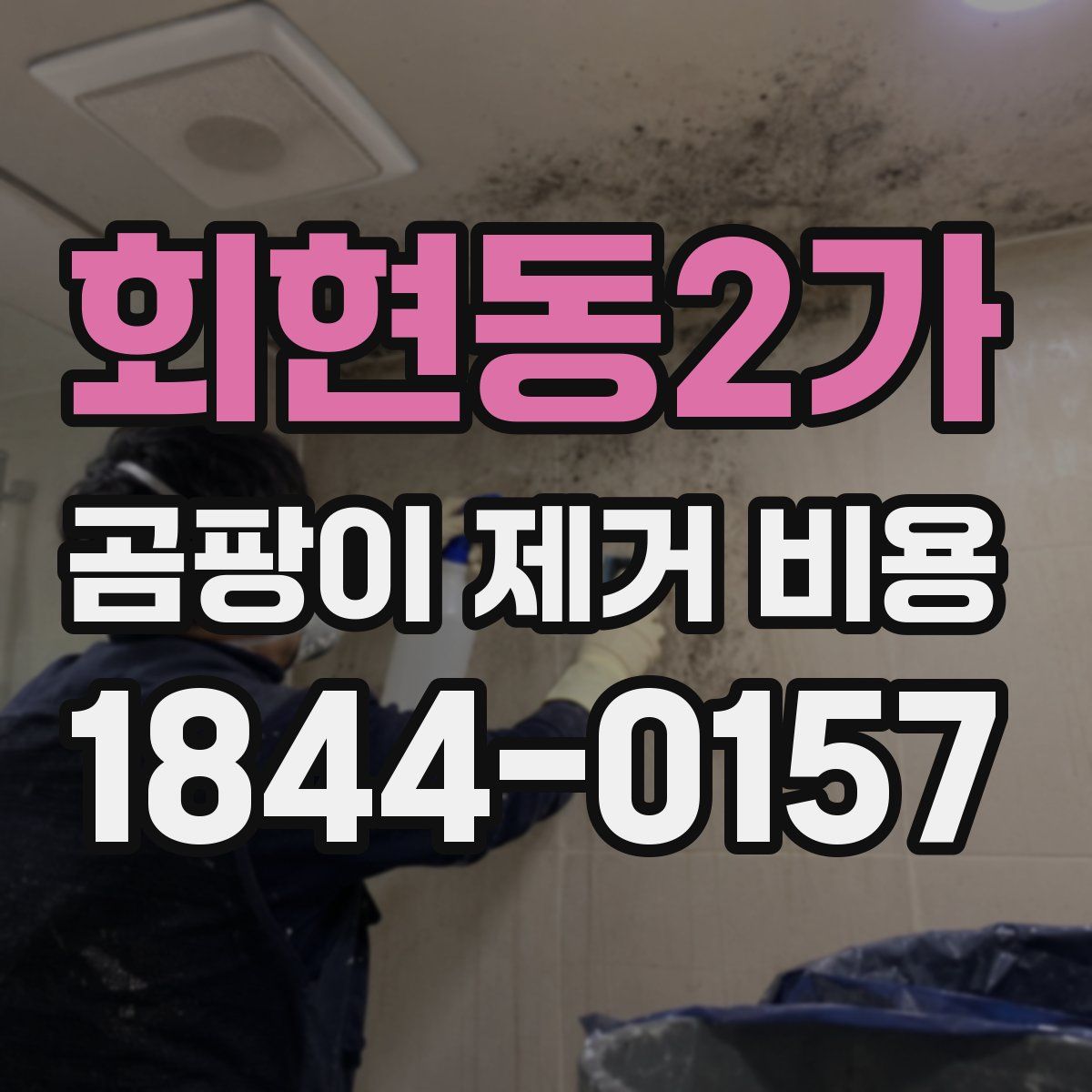 회현동2가 곰팡이 제거 비용