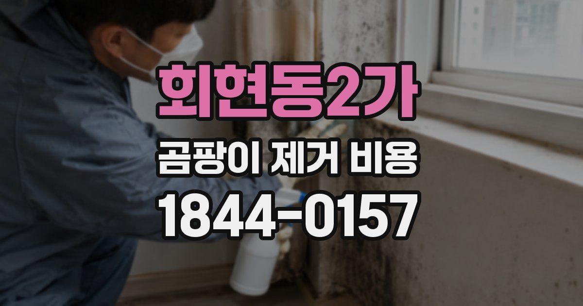 회현동2가 곰팡이 제거 비용