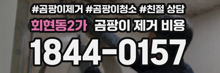 회현동2가 곰팡이 제거 비용