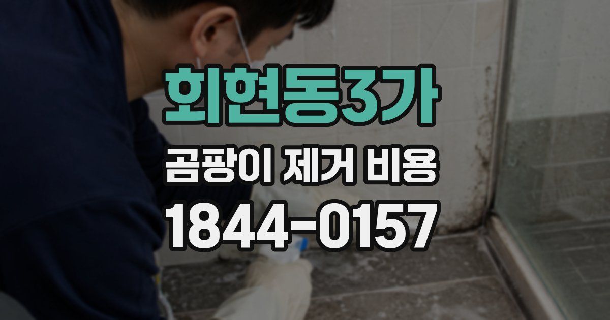 회현동3가 곰팡이 제거 비용