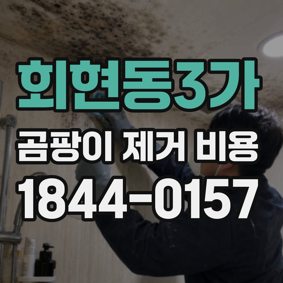 회현동3가 곰팡이 제거 비용