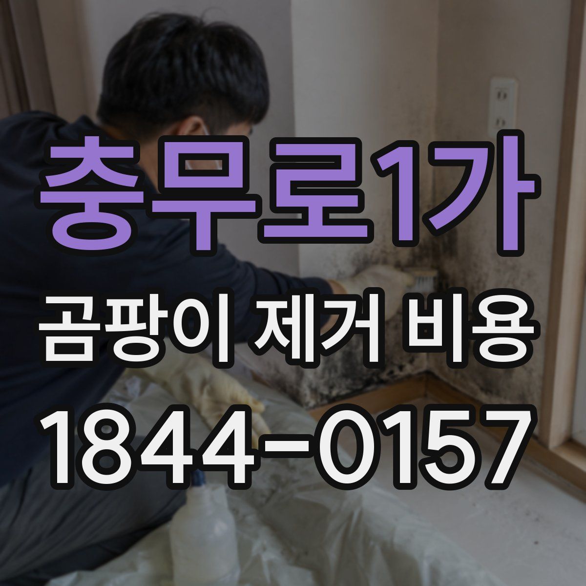 충무로1가 곰팡이 제거 비용
