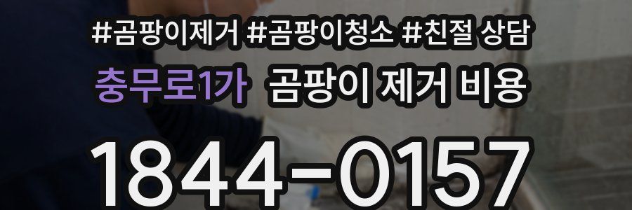 충무로1가 곰팡이 제거 비용