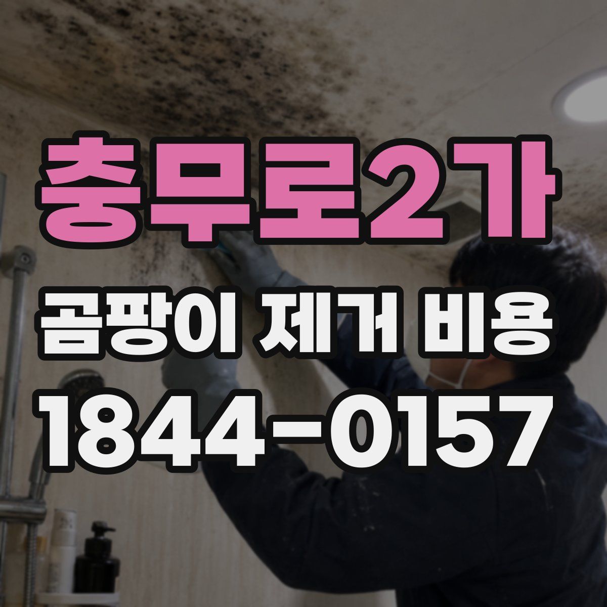 충무로2가 곰팡이 제거 비용
