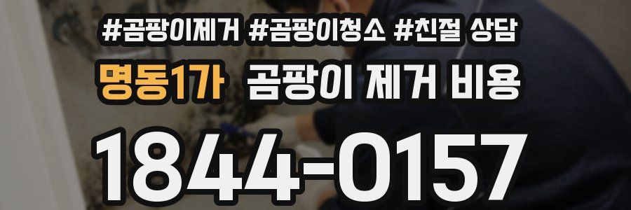 명동1가 곰팡이 제거 비용