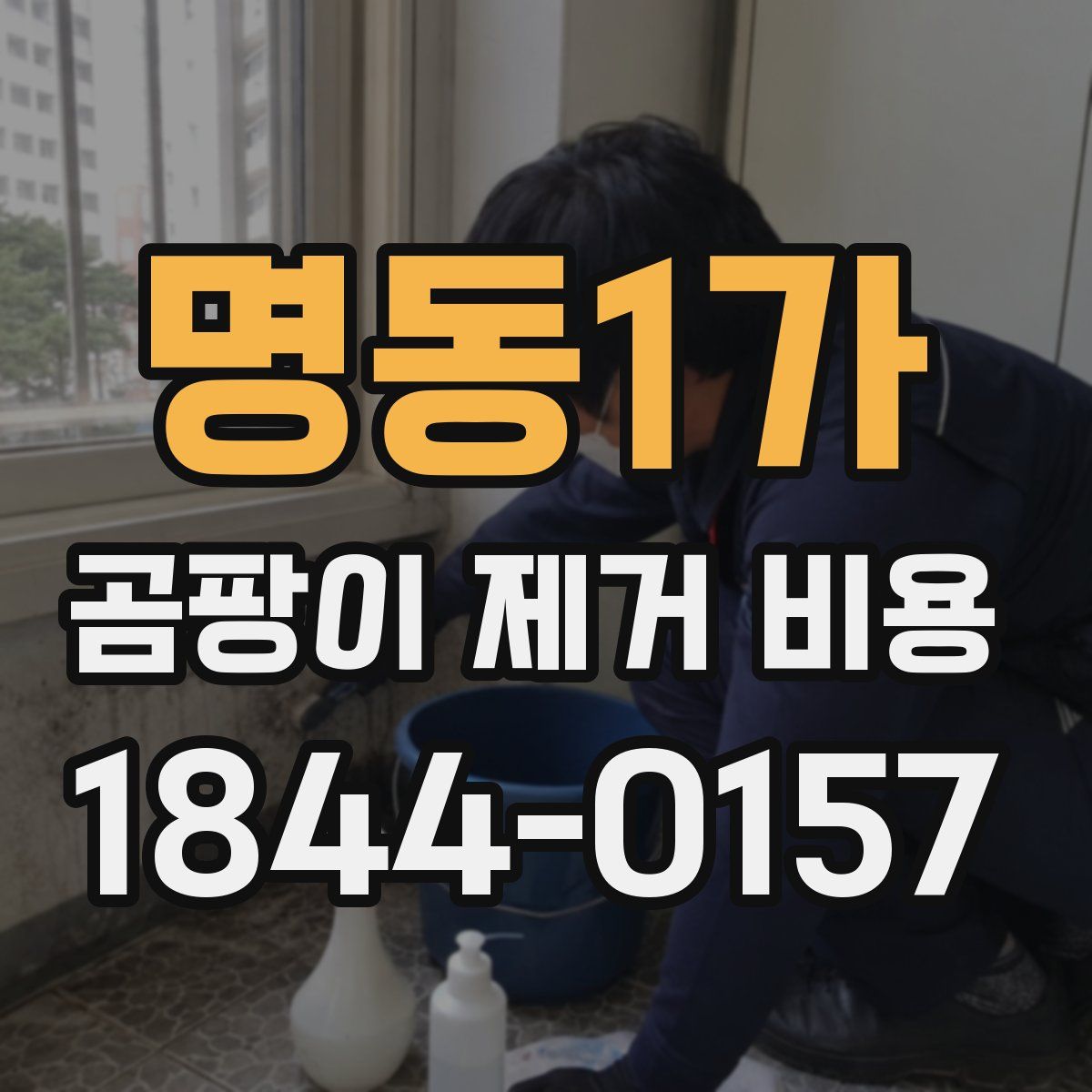 명동1가 곰팡이 제거 비용