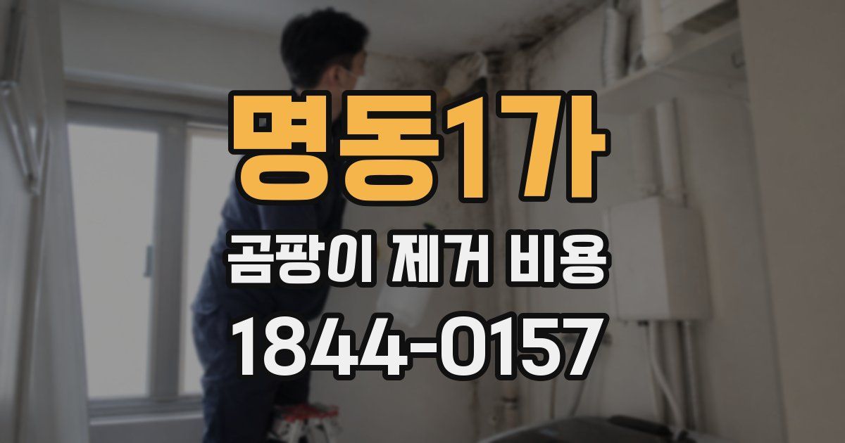 명동1가 곰팡이 제거 비용