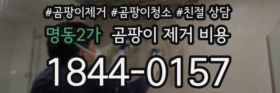 명동2가 곰팡이 제거 비용