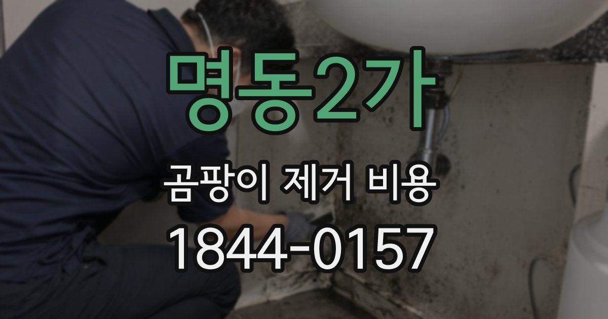 명동2가 곰팡이 제거 비용