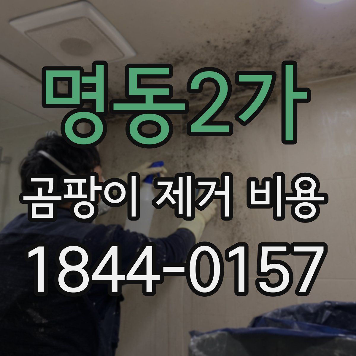 명동2가 곰팡이 제거 비용
