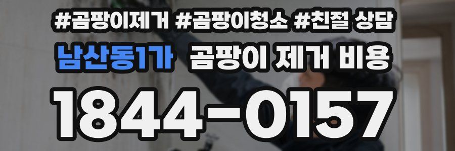 남산동1가 곰팡이 제거 비용