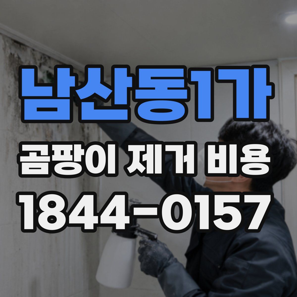 남산동1가 곰팡이 제거 비용