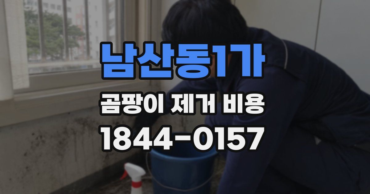 남산동1가 곰팡이 제거 비용