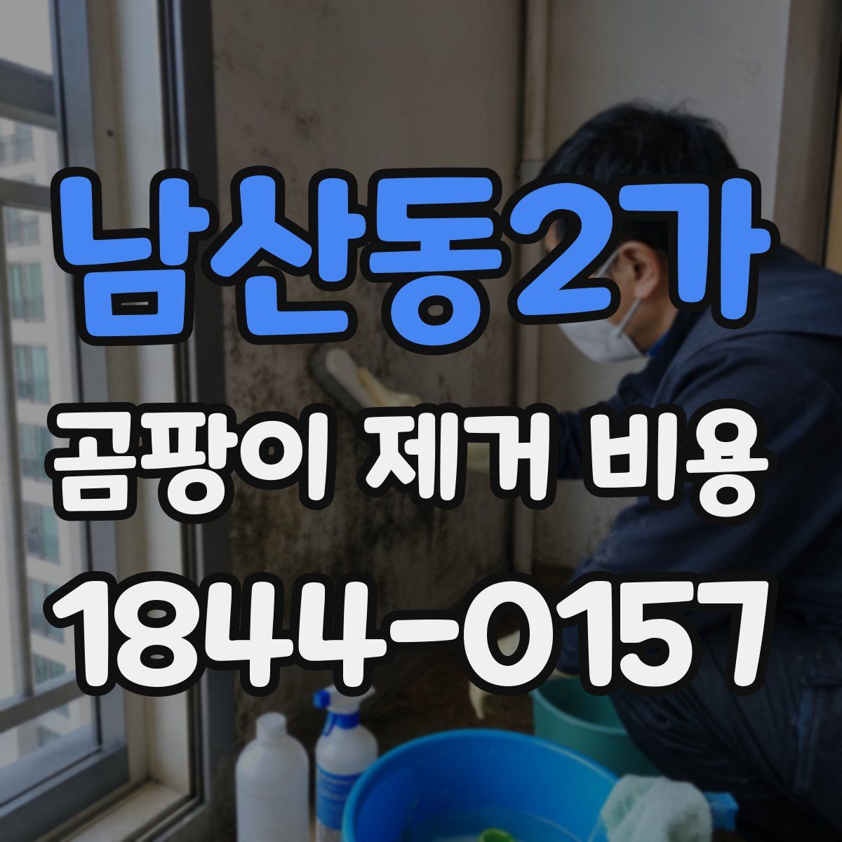 남산동2가 곰팡이 제거 비용