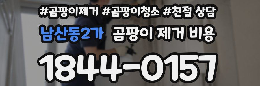 남산동2가 곰팡이 제거 비용