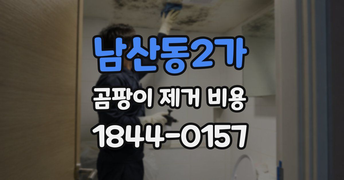 남산동2가 곰팡이 제거 비용