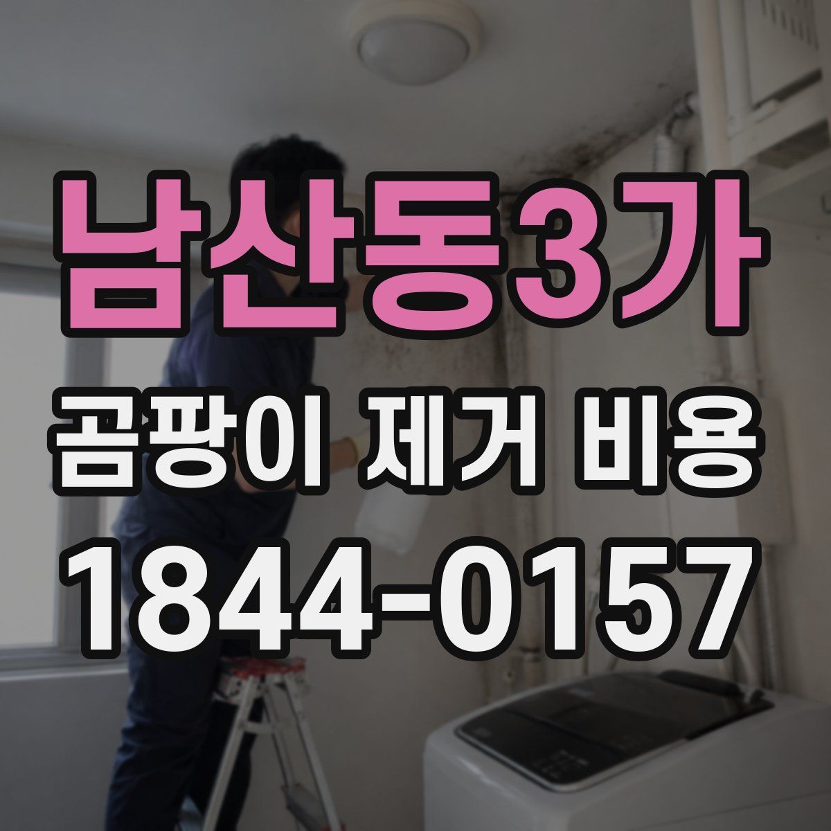 남산동3가 곰팡이 제거 비용