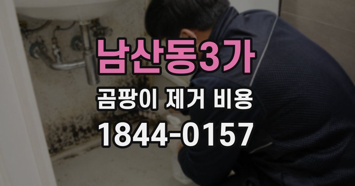 남산동3가 곰팡이 제거 비용