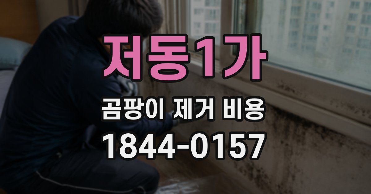저동1가 곰팡이 제거 비용