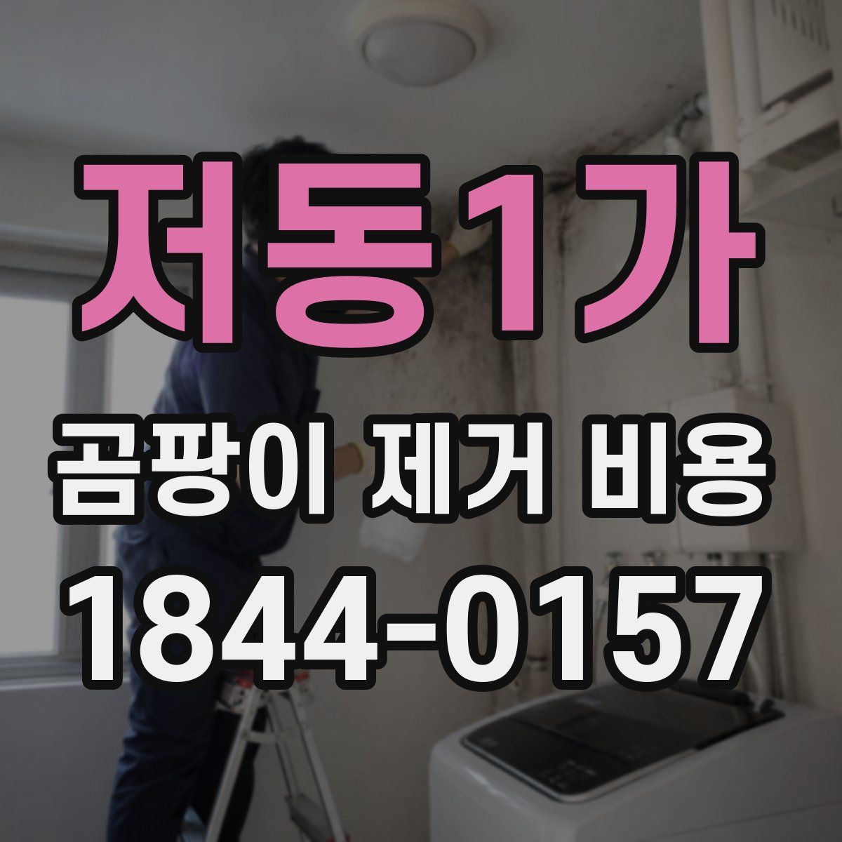 저동1가 곰팡이 제거 비용