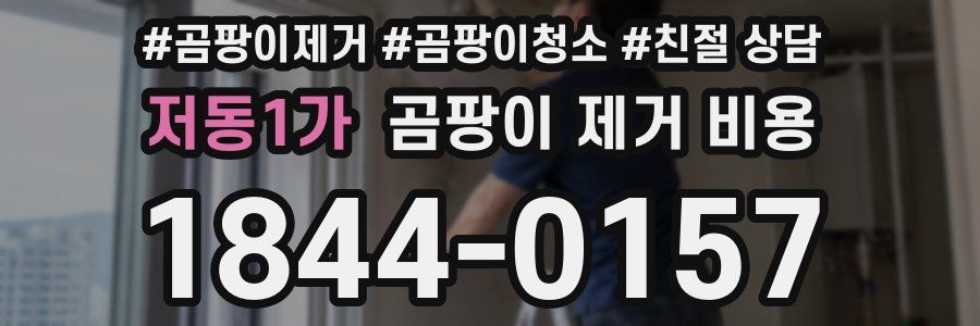 저동1가 곰팡이 제거 비용