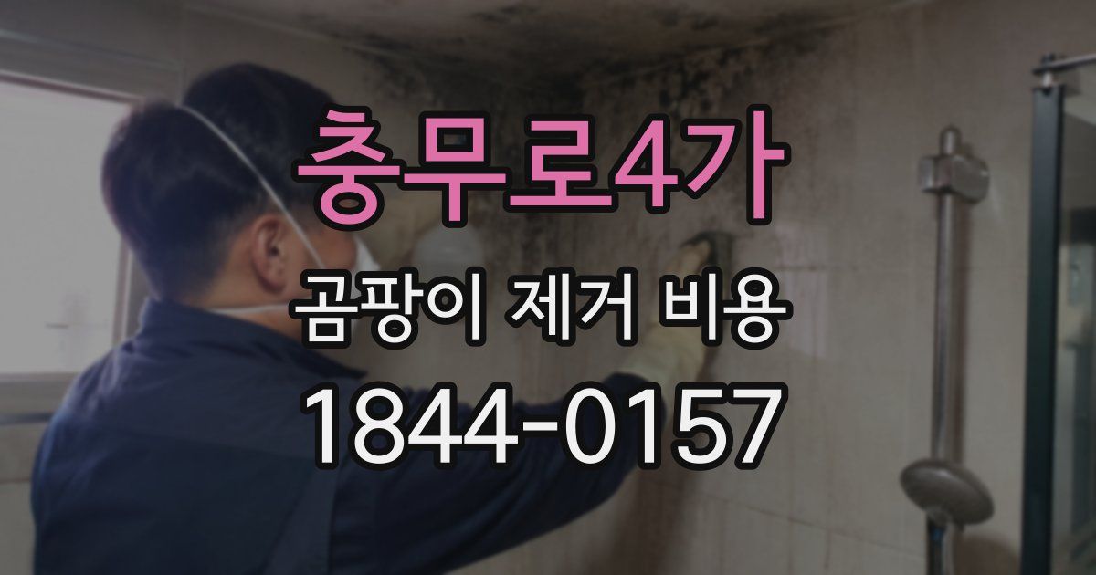 충무로4가 곰팡이 제거 비용