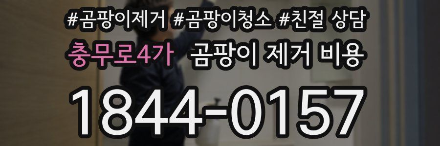 충무로4가 곰팡이 제거 비용