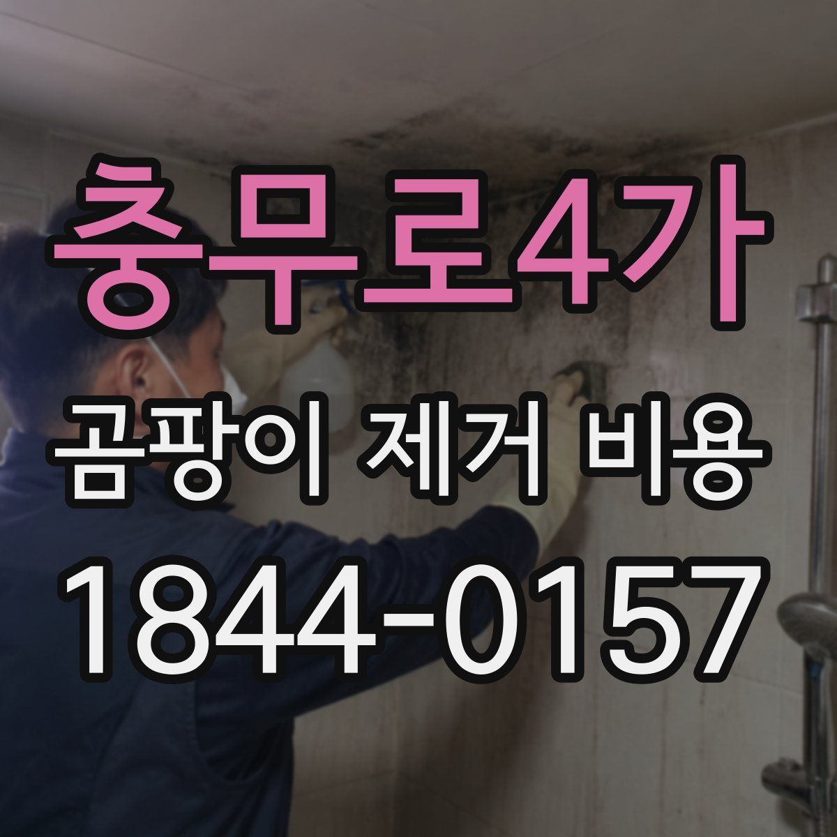 충무로4가 곰팡이 제거 비용