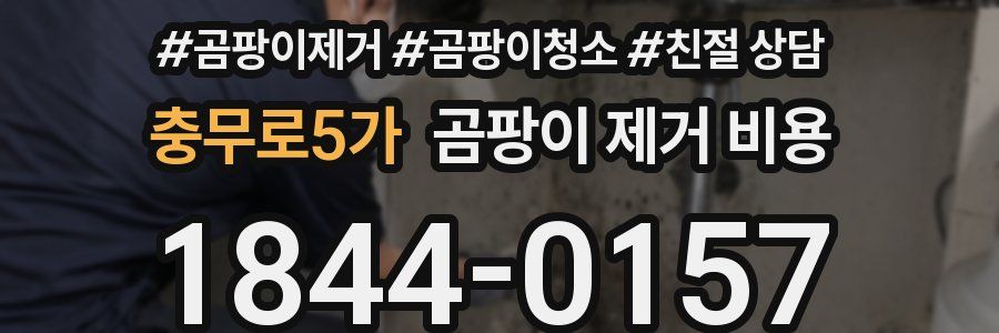 충무로5가 곰팡이 제거 비용