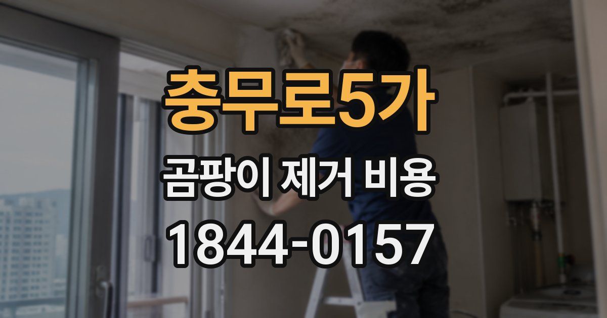 충무로5가 곰팡이 제거 비용