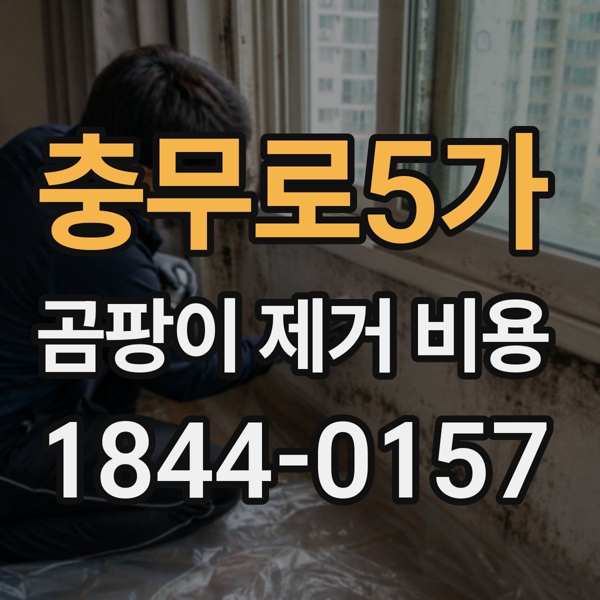 충무로5가 곰팡이 제거 비용
