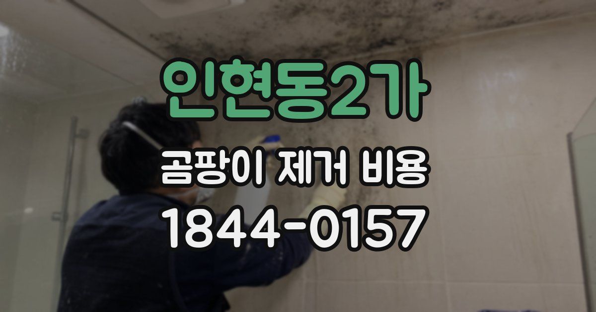 인현동2가 곰팡이 제거 비용