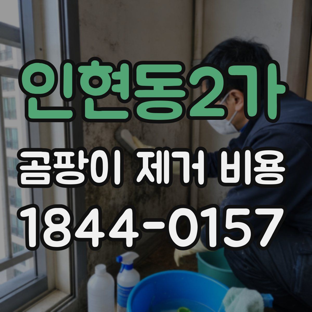 인현동2가 곰팡이 제거 비용