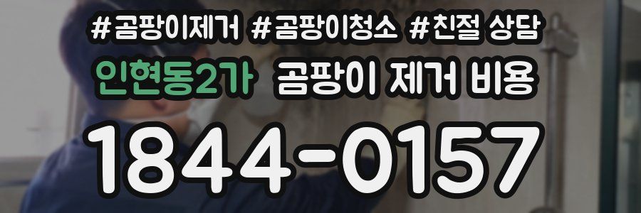인현동2가 곰팡이 제거 비용