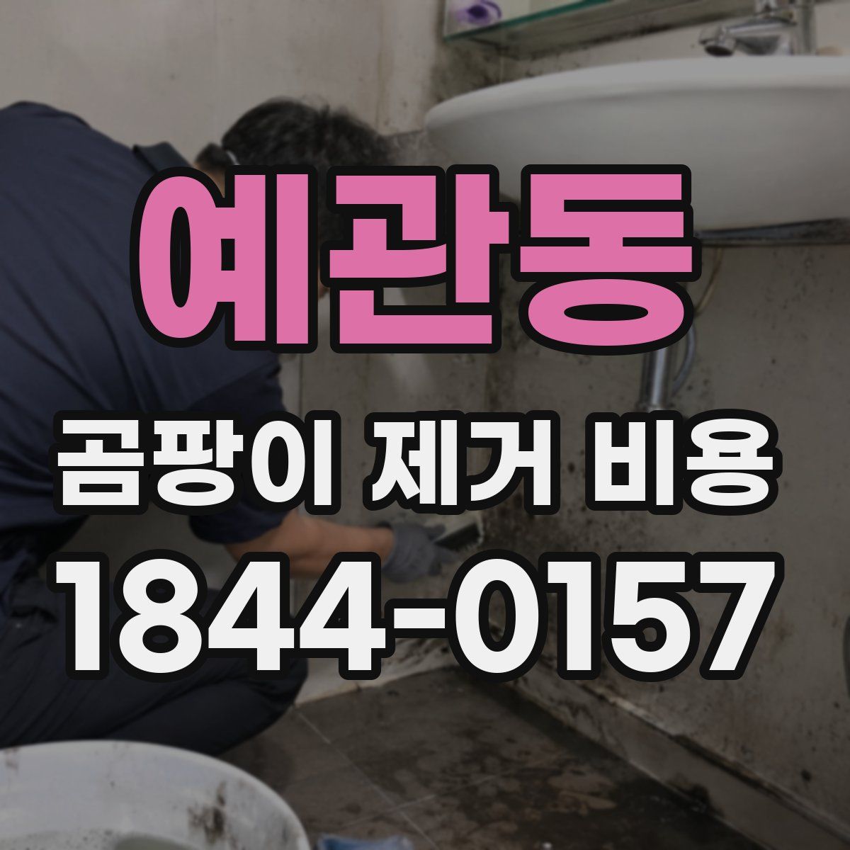 예관동 곰팡이 제거 비용
