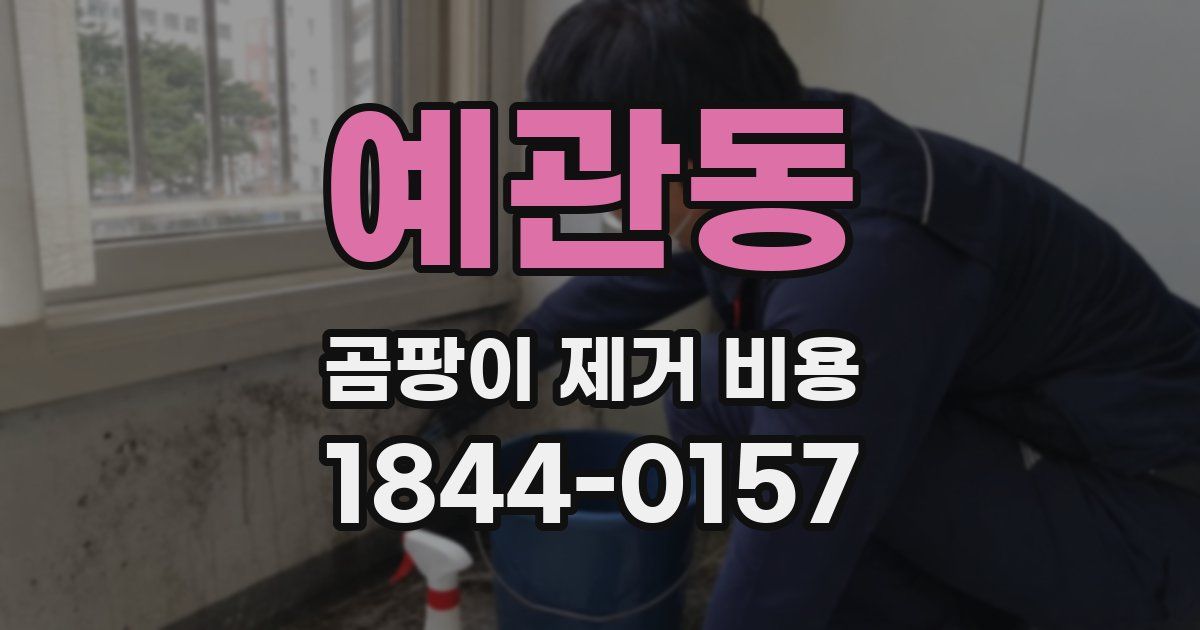 예관동 곰팡이 제거 비용