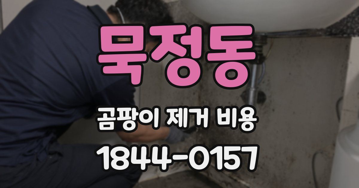 묵정동 곰팡이 제거 비용
