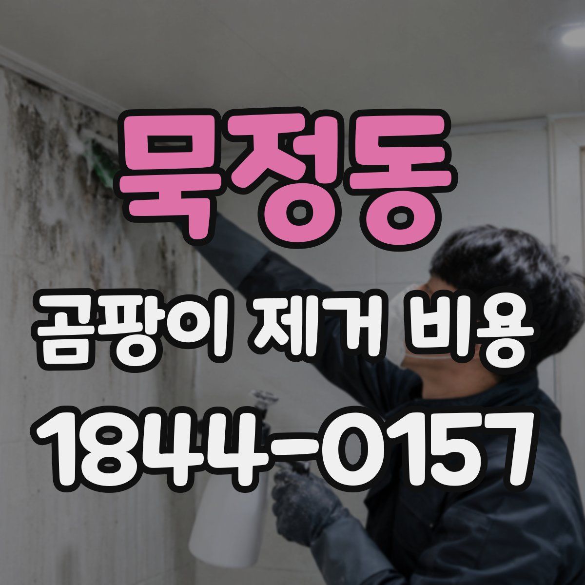 묵정동 곰팡이 제거 비용